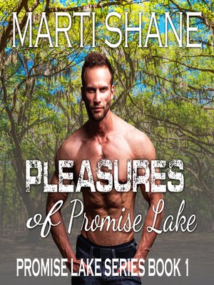 cover image of Pleasures of Promise Lake